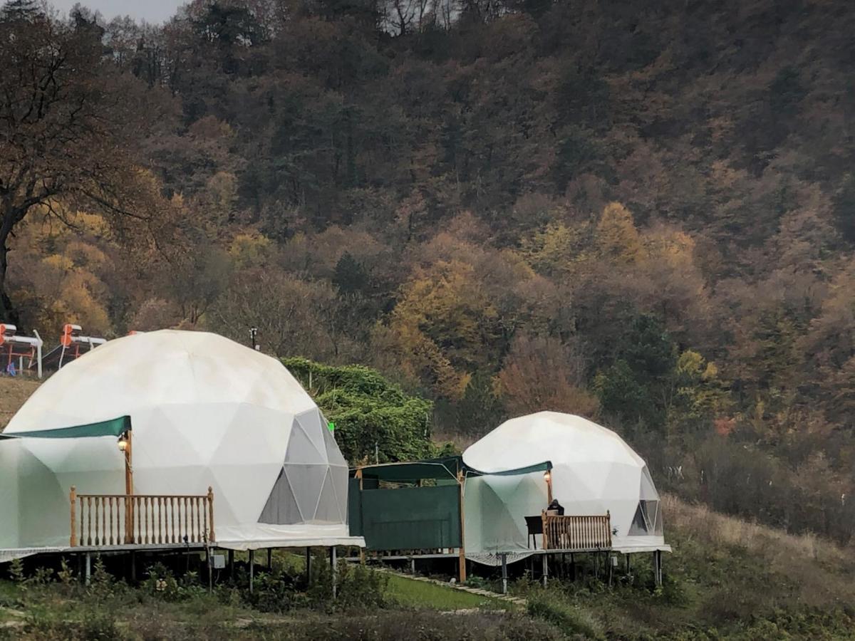Dengekoru Wildlife & Glamping Hotel Mudurnu Екстериор снимка