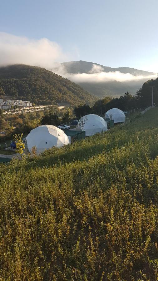 Dengekoru Wildlife & Glamping Hotel Mudurnu Екстериор снимка